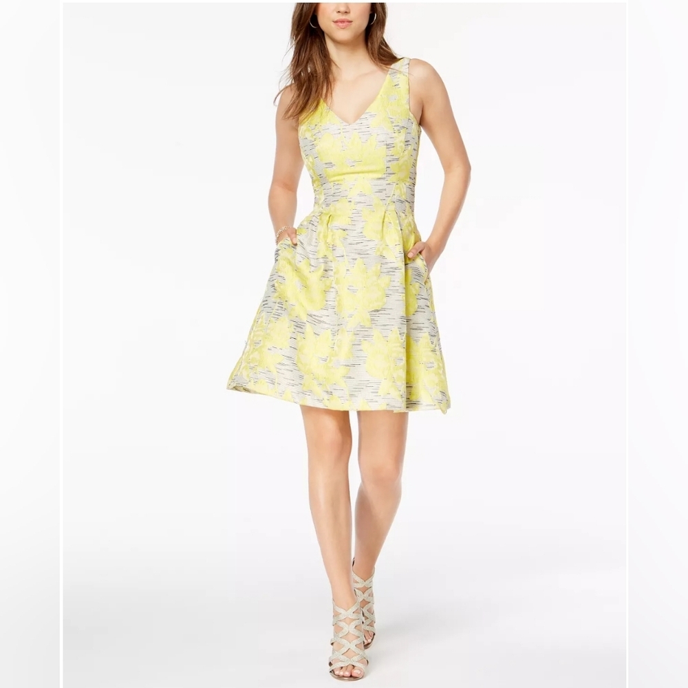 New Donna Ricco size 12 embroidered fit and flare dress